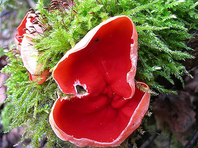 Nel  Regno  della  Jurana